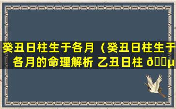 癸丑日柱生于各月（癸丑日柱生于各月的命理解析 乙丑日柱 🐵 女命好不好）